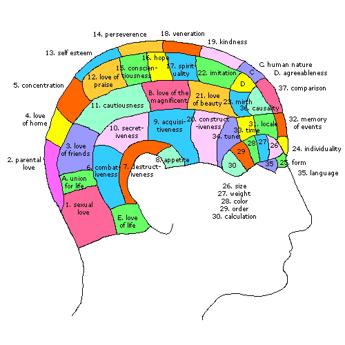 map of the faculties